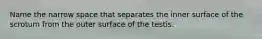 Name the narrow space that separates the inner surface of the scrotum from the outer surface of the testis.