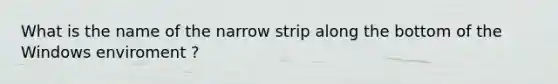 What is the name of the narrow strip along the bottom of the Windows enviroment ?