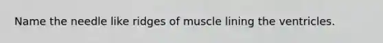 Name the needle like ridges of muscle lining the ventricles.