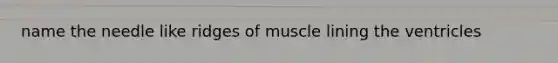 name the needle like ridges of muscle lining the ventricles