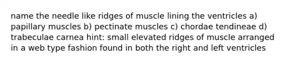 name the needle like ridges of muscle lining the ventricles a) papillary muscles b) pectinate muscles c) chordae tendineae d) trabeculae carnea hint: small elevated ridges of muscle arranged in a web type fashion found in both the right and left ventricles