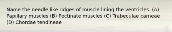 Name the needle like ridges of muscle lining the ventricles. (A) Papillary muscles (B) Pectinate muscles (C) Trabeculae carneae (D) Chordae tendineae