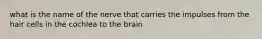 what is the name of the nerve that carries the impulses from the hair cells in the cochlea to the brain