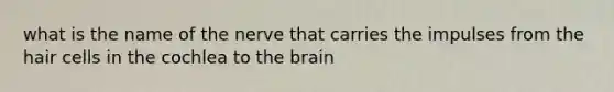 what is the name of the nerve that carries the impulses from the hair cells in the cochlea to the brain