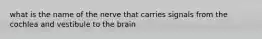 what is the name of the nerve that carries signals from the cochlea and vestibule to the brain