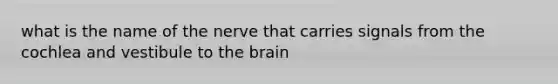 what is the name of the nerve that carries signals from the cochlea and vestibule to the brain