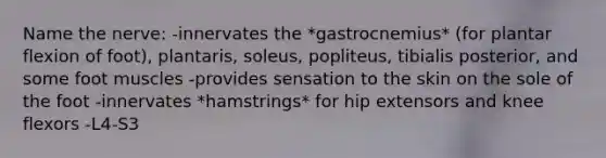 Name the nerve: -innervates the *gastrocnemius* (for plantar flexion of foot), plantaris, soleus, popliteus, tibialis posterior, and some foot muscles -provides sensation to the skin on the sole of the foot -innervates *hamstrings* for hip extensors and knee flexors -L4-S3