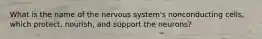 What is the name of the nervous system's nonconducting cells, which protect, nourish, and support the neurons?