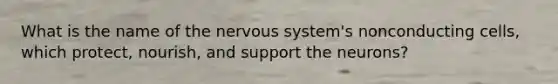 What is the name of the nervous system's nonconducting cells, which protect, nourish, and support the neurons?