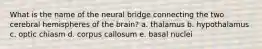 ​What is the name of the neural bridge connecting the two cerebral hemispheres of the brain? a. ​thalamus b. ​hypothalamus c. ​optic chiasm d. ​corpus callosum e. ​basal nuclei