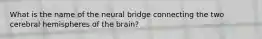 What is the name of the neural bridge connecting the two cerebral hemispheres of the brain?