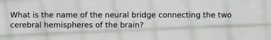 What is the name of the neural bridge connecting the two cerebral hemispheres of the brain?