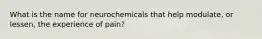 What is the name for neurochemicals that help modulate, or lessen, the experience of pain?