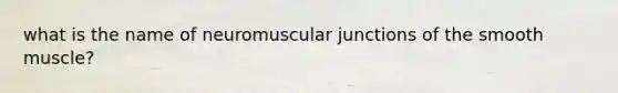 what is the name of neuromuscular junctions of the smooth muscle?