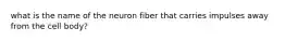 what is the name of the neuron fiber that carries impulses away from the cell body?