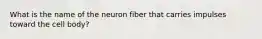 What is the name of the neuron fiber that carries impulses toward the cell body?