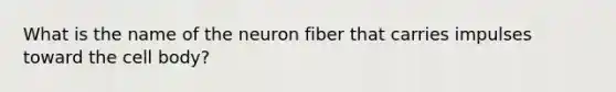 What is the name of the neuron fiber that carries impulses toward the cell body?