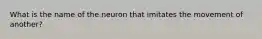 What is the name of the neuron that imitates the movement of another?