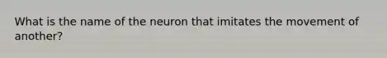 What is the name of the neuron that imitates the movement of another?