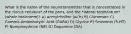 What is the name of the neurotransmitter that is concentrated in the *locus ceruleus* of the pons, and the *lateral tegmentum* (whole brainstem)? A) Acetylcholine (ACh) B) Glutamate C) Gamma-Aminobutyric Acid (GABA) D) Glycine E) Serotonin (5-HT) F) Norepinephrine (NE) G) Dopamine (DA)