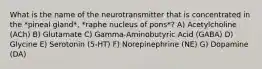 What is the name of the neurotransmitter that is concentrated in the *pineal gland*, *raphe nucleus of pons*? A) Acetylcholine (ACh) B) Glutamate C) Gamma-Aminobutyric Acid (GABA) D) Glycine E) Serotonin (5-HT) F) Norepinephrine (NE) G) Dopamine (DA)