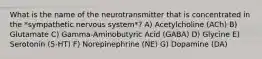 What is the name of the neurotransmitter that is concentrated in the *sympathetic nervous system*? A) Acetylcholine (ACh) B) Glutamate C) Gamma-Aminobutyric Acid (GABA) D) Glycine E) Serotonin (5-HT) F) Norepinephrine (NE) G) Dopamine (DA)