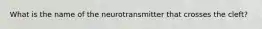 What is the name of the neurotransmitter that crosses the cleft?