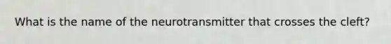 What is the name of the neurotransmitter that crosses the cleft?