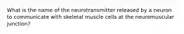 What is the name of the neurotransmitter released by a neuron to communicate with skeletal muscle cells at the neuromuscular junction?