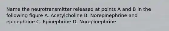 Name the neurotransmitter released at points A and B in the following figure A. Acetylcholine B. Norepinephrine and epinephrine C. Epinephrine D. Norepinephrine