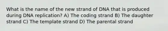 What is the name of the new strand of DNA that is produced during <a href='https://www.questionai.com/knowledge/kofV2VQU2J-dna-replication' class='anchor-knowledge'>dna replication</a>? A) The coding strand B) The daughter strand C) The template strand D) The parental strand