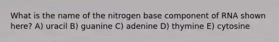 What is the name of the nitrogen base component of RNA shown here? A) uracil B) guanine C) adenine D) thymine E) cytosine