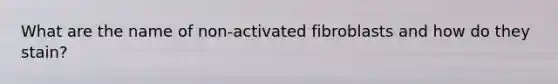 What are the name of non-activated fibroblasts and how do they stain?