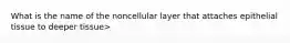 What is the name of the noncellular layer that attaches epithelial tissue to deeper tissue>