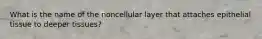 What is the name of the noncellular layer that attaches epithelial tissue to deeper tissues?