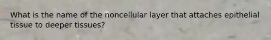 What is the name of the noncellular layer that attaches epithelial tissue to deeper tissues?