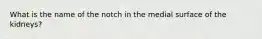 What is the name of the notch in the medial surface of the kidneys?