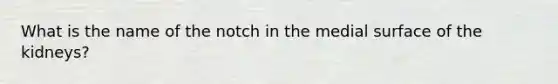 What is the name of the notch in the medial surface of the kidneys?