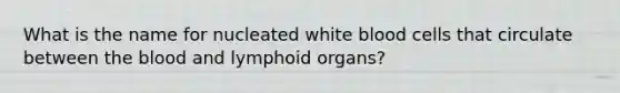 What is the name for nucleated white blood cells that circulate between the blood and lymphoid organs?