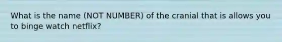 What is the name (NOT NUMBER) of the cranial that is allows you to binge watch netflix?