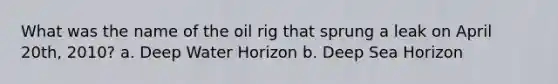 What was the name of the oil rig that sprung a leak on April 20th, 2010? a. Deep Water Horizon b. Deep Sea Horizon