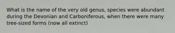 What is the name of the very old genus, species were abundant during the Devonian and Carboniferous, when there were many tree-sized forms (now all extinct)