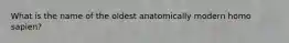 What is the name of the oldest anatomically modern homo sapien?