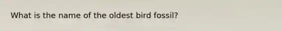 What is the name of the oldest bird fossil?