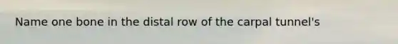 Name one bone in the distal row of the carpal tunnel's