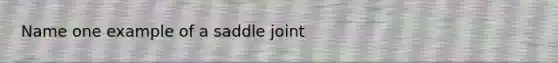 Name one example of a saddle joint