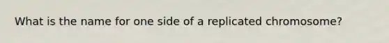 What is the name for one side of a replicated chromosome?