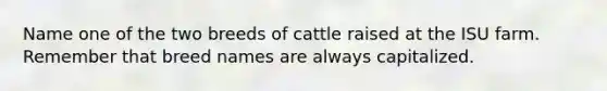 Name one of the two breeds of cattle raised at the ISU farm. Remember that breed names are always capitalized.