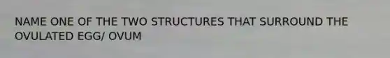 NAME ONE OF THE TWO STRUCTURES THAT SURROUND THE OVULATED EGG/ OVUM