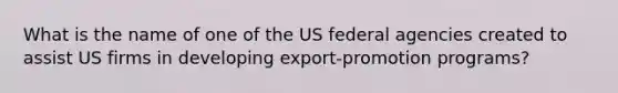 What is the name of one of the US federal agencies created to assist US firms in developing export-promotion programs?